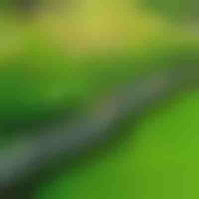 Kamenné zahradní lemování (10 ks) | MINIFENCE