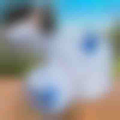 Skládací nádrž na vodu (10 l) | AQUATANK