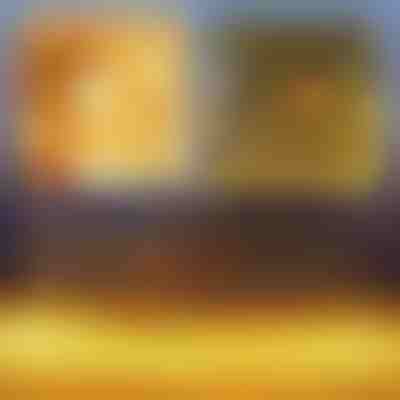 Slavnostní LED světelná síťka | LUMONET