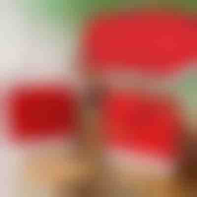 Vánoční potahy na kuchyňské židle (4ks) | SANTASEAT