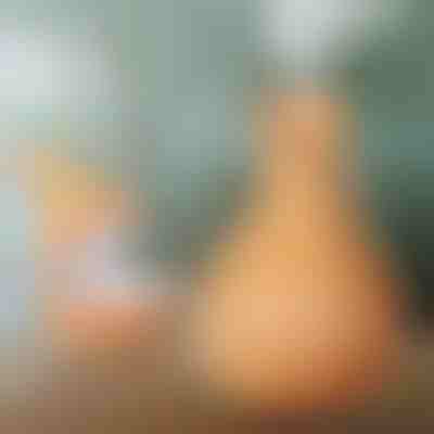 Dřevěný zvlhčovač vzduchu | HUMISTER