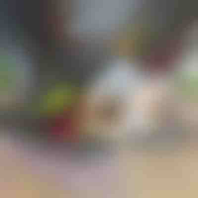 Sekáček a kráječ zeleniny 12 v 1 | CHOPMASTER