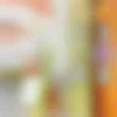 Víceúčelový krouhač | SLICEWISE