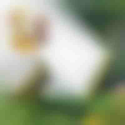 Profesionální vodní postřikovač | SPRAYMASTER