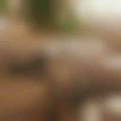 Magnetický samolepicí organizér kabelů (12 kusů) | CABLIP